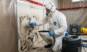 Honolulu, HI mold remediation service for water damage cleanup and home restoration